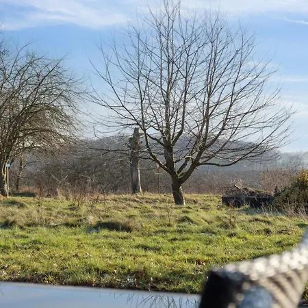 Lovely Near Forest And